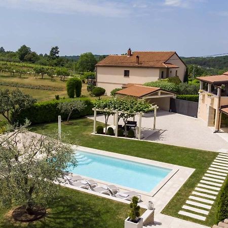 Villa Viscum In Central Istria For 8 Persons With Large Garden - Pet Friendly Пазин Экстерьер фото