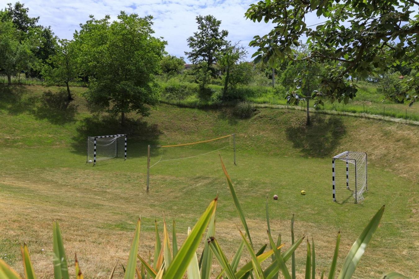 Villa Viscum In Central Istria For 8 Persons With Large Garden - Pet Friendly Пазин Экстерьер фото